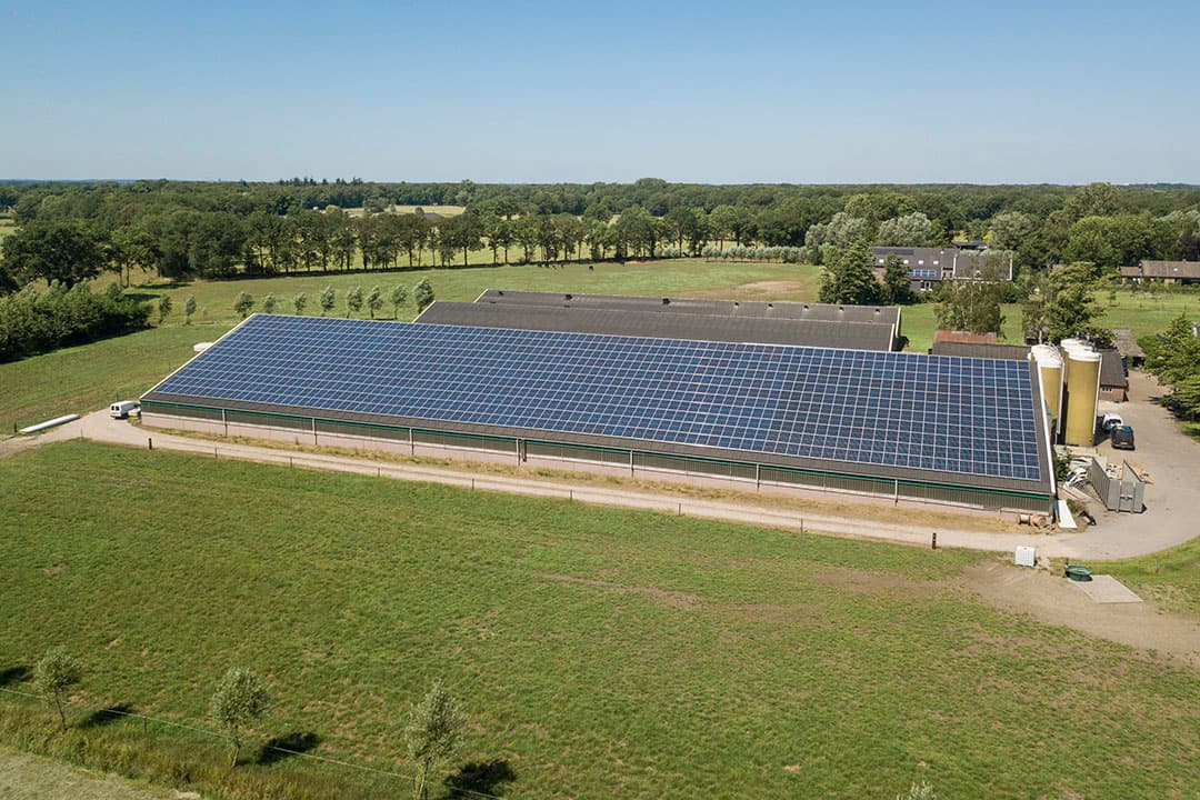 Veel varkenshouders hebben de afgelopen jaren geïnvesteerd in zonnepanelen. Het net is niet overal berekend op meer zonne-energie. Op sommige locaties is sprake van capaciteitsproblemen.