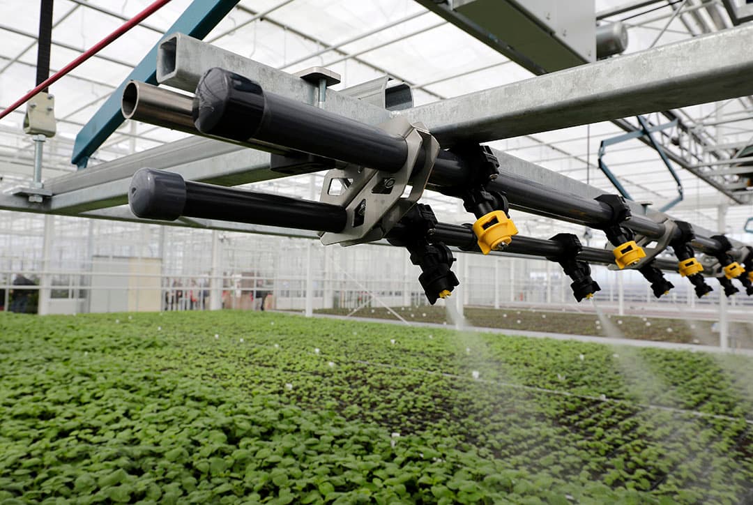 Kweekkas voor aardappelen bij Agrico Research in Bant (Fl.). - Foto: Ruud Ploeg