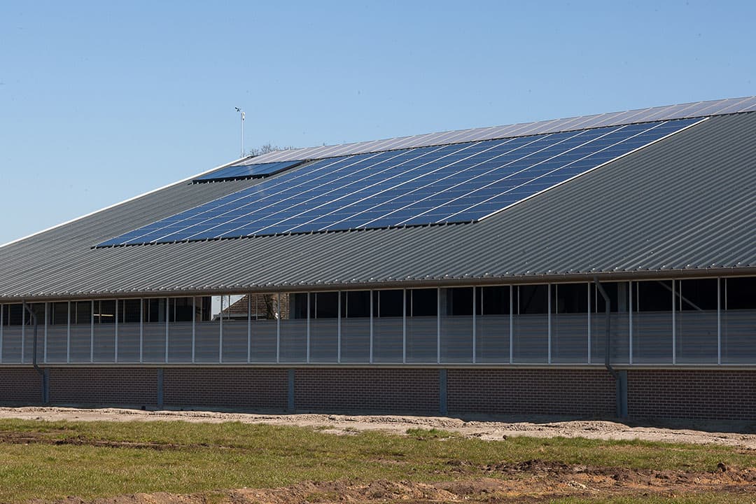 Zonnepanelen op een nieuwe melkveestal. - Foto: Ronald Hissink