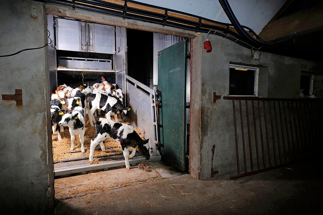 Foto: Frank Uijlenbroek