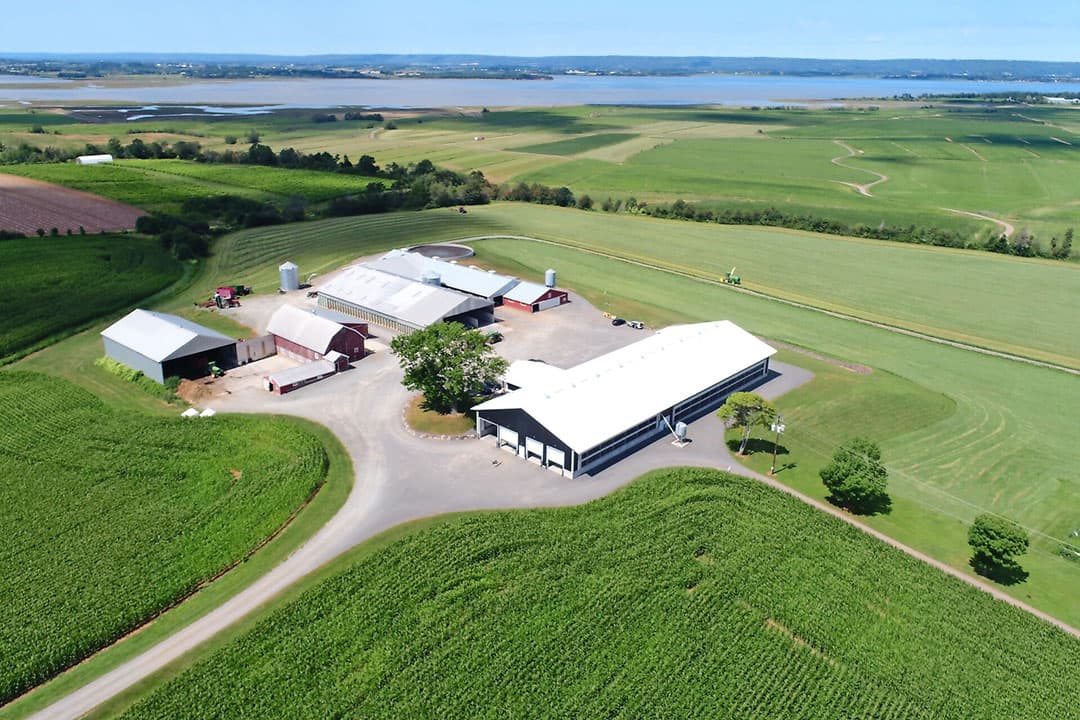 Foto: Interfarms