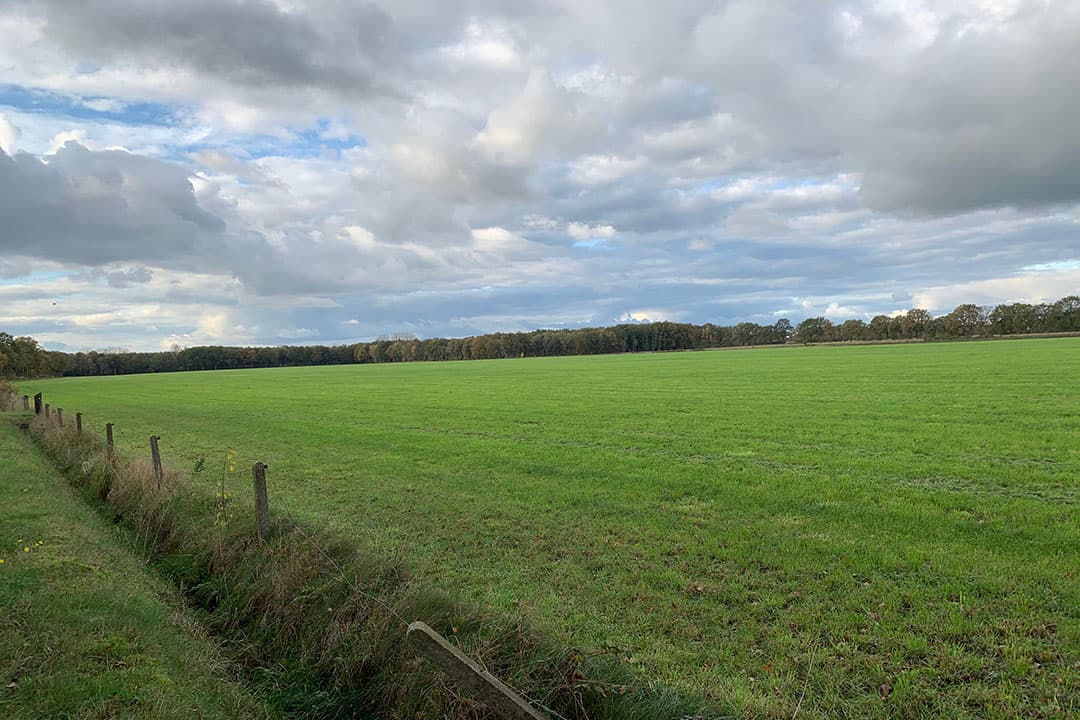 Natuurgebied Lemselermaten in Overijssel. - Foto: Misset