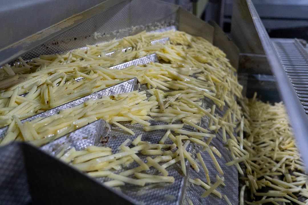 De gemiddelde poolprijs voor oogst 2019 komt definitief uit op ¬  13,12 en ¬  12,68 per 100 kilo. De prijzen gelden voor alle fritesaardappelrassen. - Foto: Jan Willem Schouten