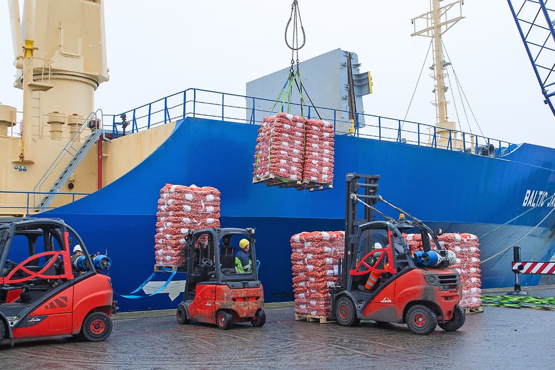 Uien gaan op de boot naar Senegal.