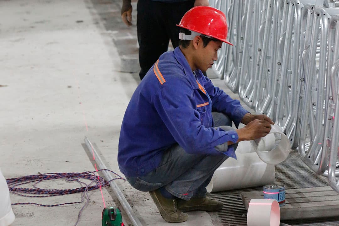 China werkt aan herstel varkensmarkt. Dat gaat sneller dan verwacht. - Foto: Henk Riswick