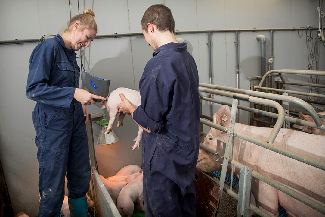 Foto: Koos Groenewold