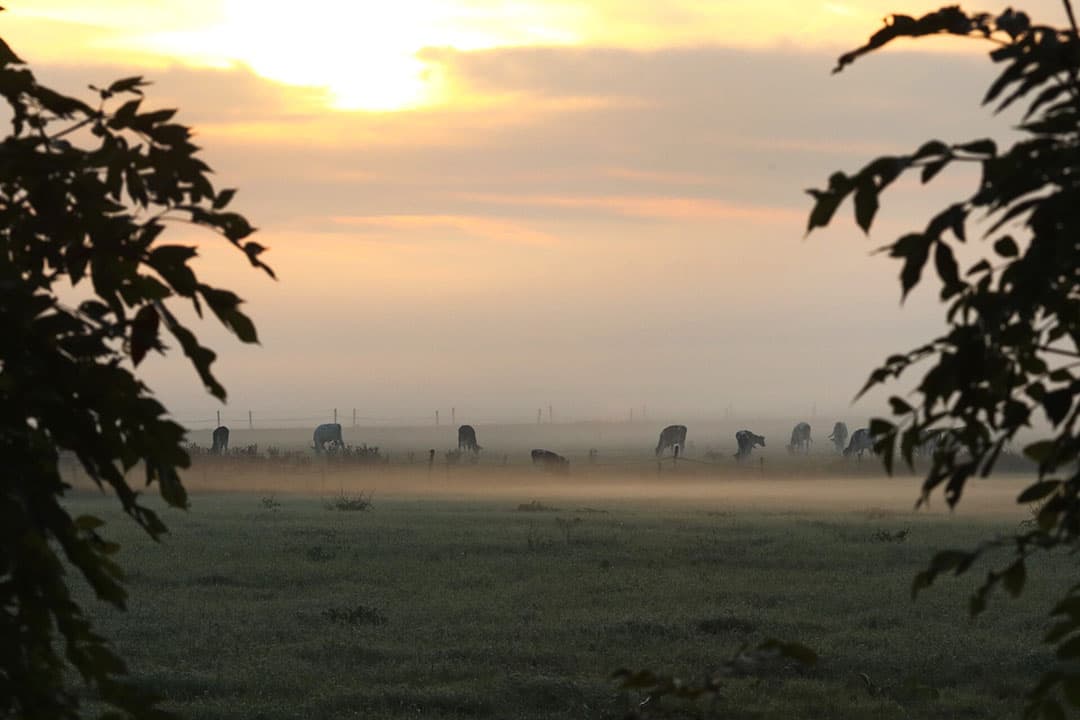 Foto: Henk Riswick