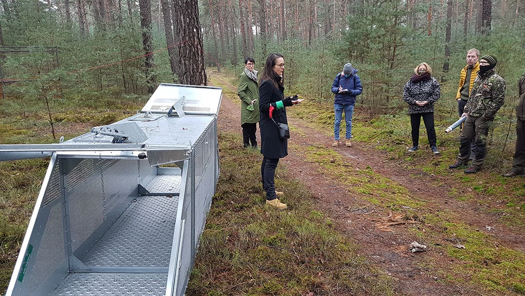 Crisisleider Anna Heyer-Stuffer geeft aan de verzamelde pers uitleg over een vangkooi voor wilde zwijnen. - Foto: MSGIV