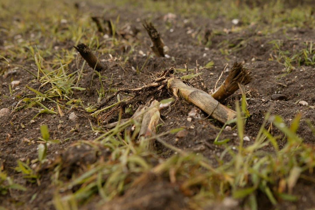 Foto: Jan Willem Schouten