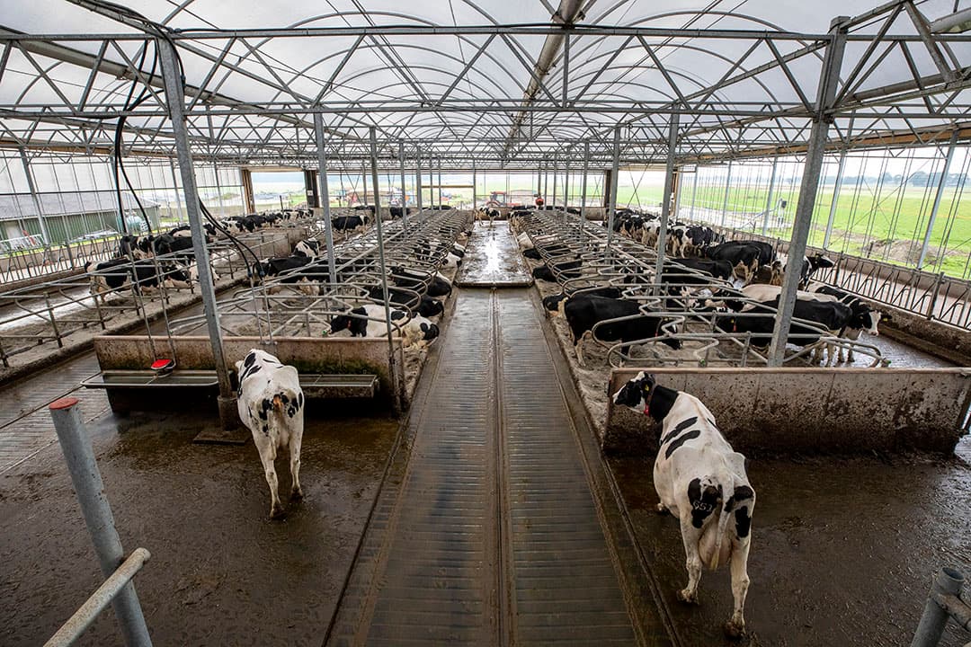 Foto: Anne van der Woude