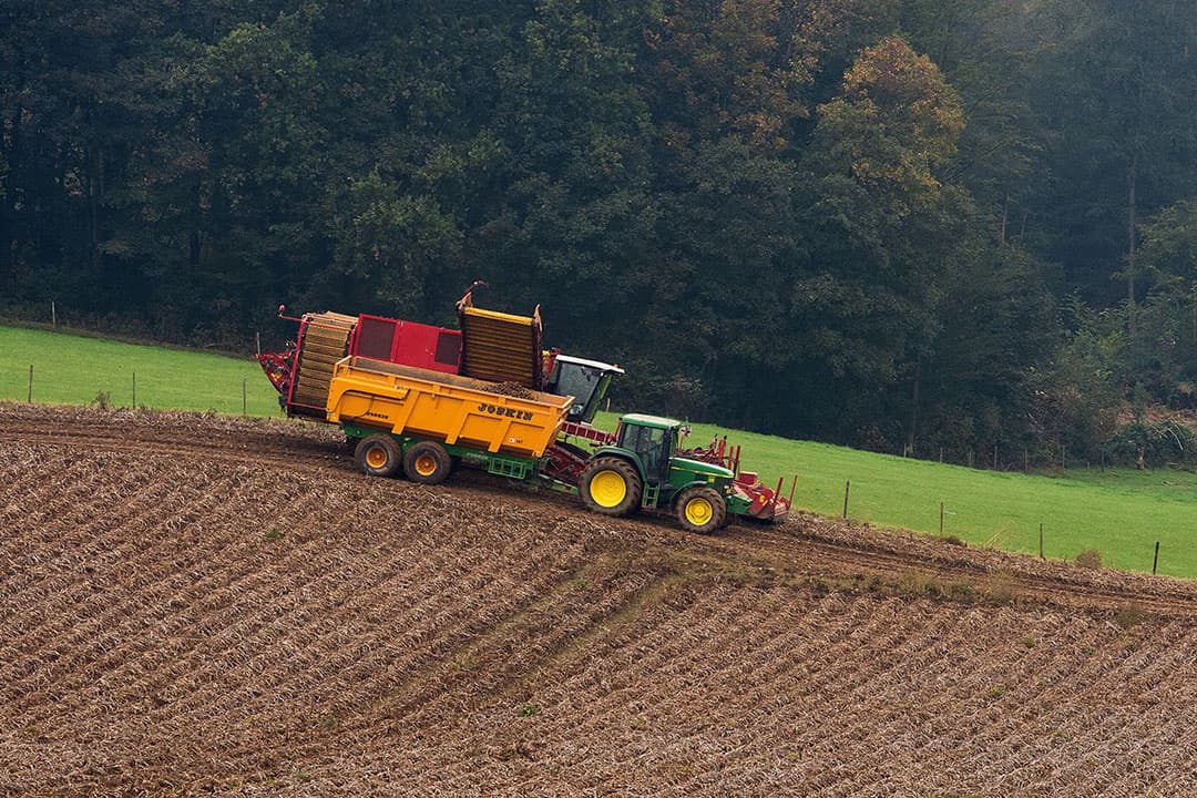 Foto: Twan Wiermans
