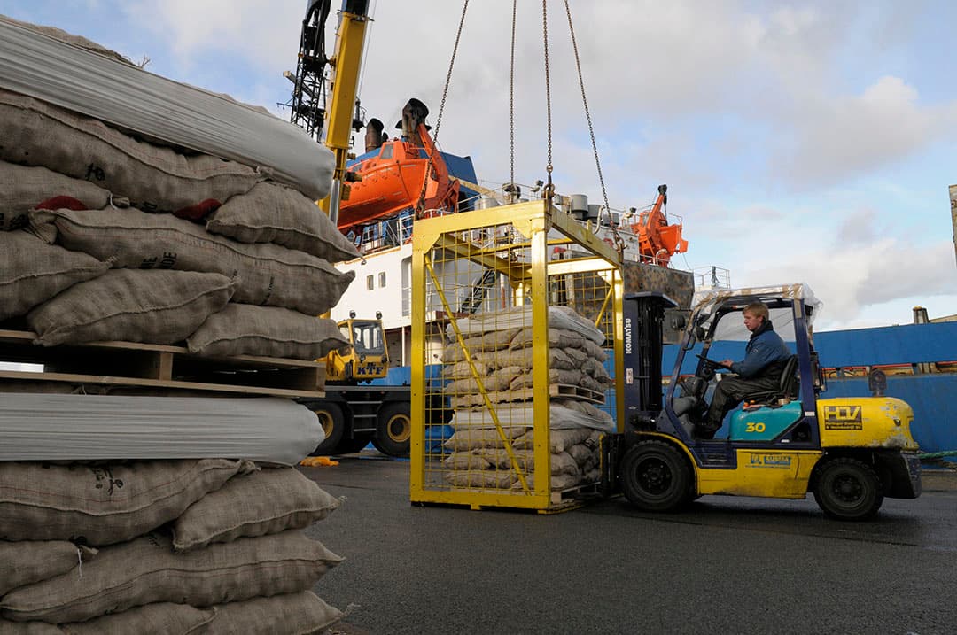 Pootgoedaadappelen worden geladen voor export in de haven van Harlingen. - Foto: Penn Communicatie
