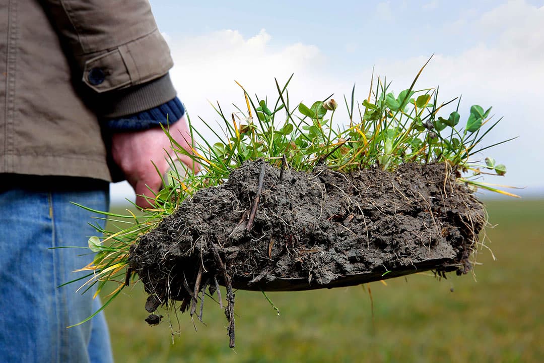 Boeren die gaan omschakelen naar duurzamere bedrijfsvoering moeten zich richten op zeven doelen zoals emissiereductie, bodemgezondheid en biodiversiteit. - Foto: Ruud Ploeg