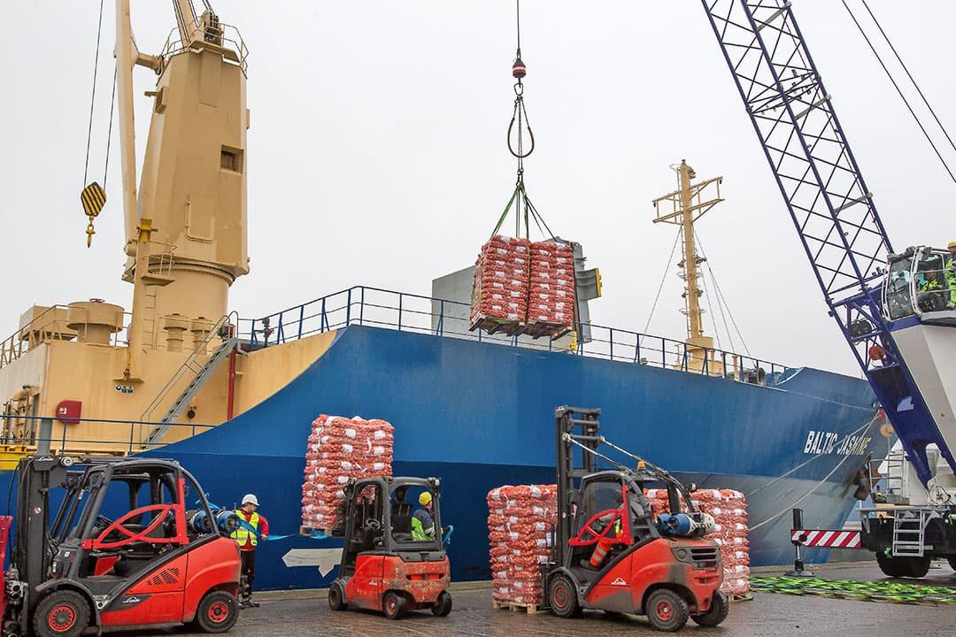 Uien laden op de Baltic Jasmin, een gekoeld vrachtschip, voor verscheping naar Senegal. - Foto: Peter Roek