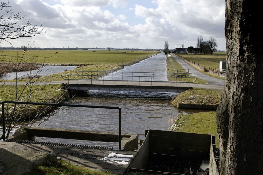 Foto: Hans Prinsen