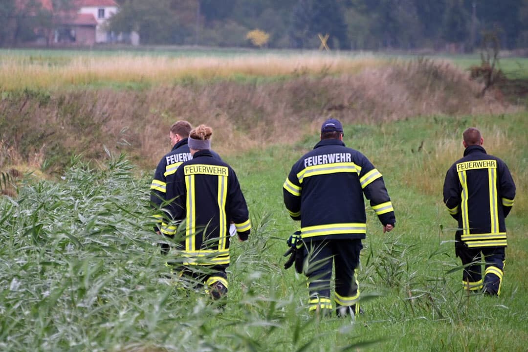 Leden van de brandweer in Brandenburg, Duitsland, zoeken naar dode wilde zwijnen. - Foto: ANP