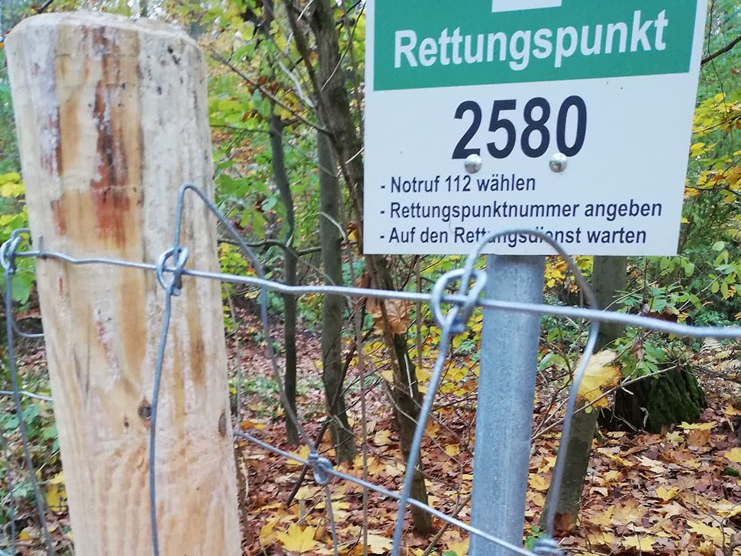 Om de besmette gebieden in Brandenburg wordt een vaste afrastering gezet van schapengaas. Verspreiding van het virus voorkomen is cruciaal.  Foto: MSGIV
