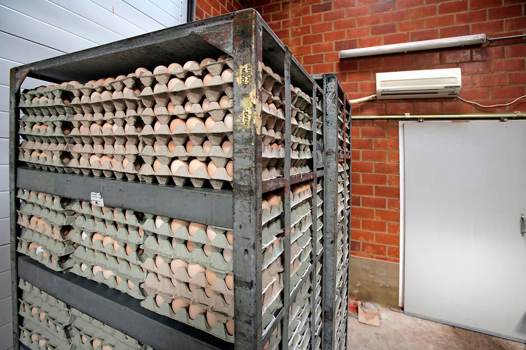 Foto: Koos Groenewold