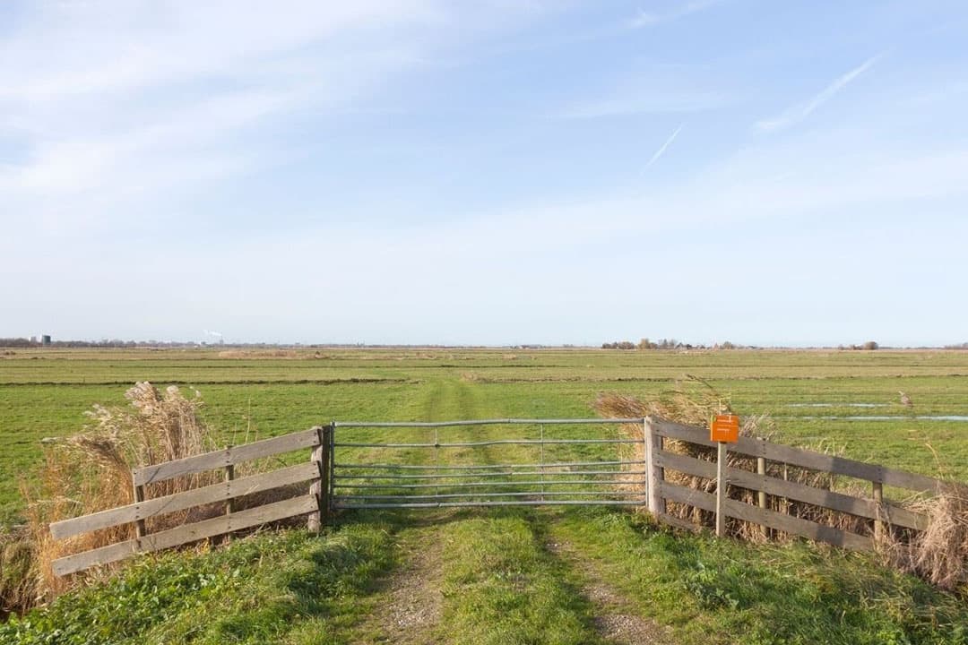 Noord-Hollands landschap. Foto: Canva