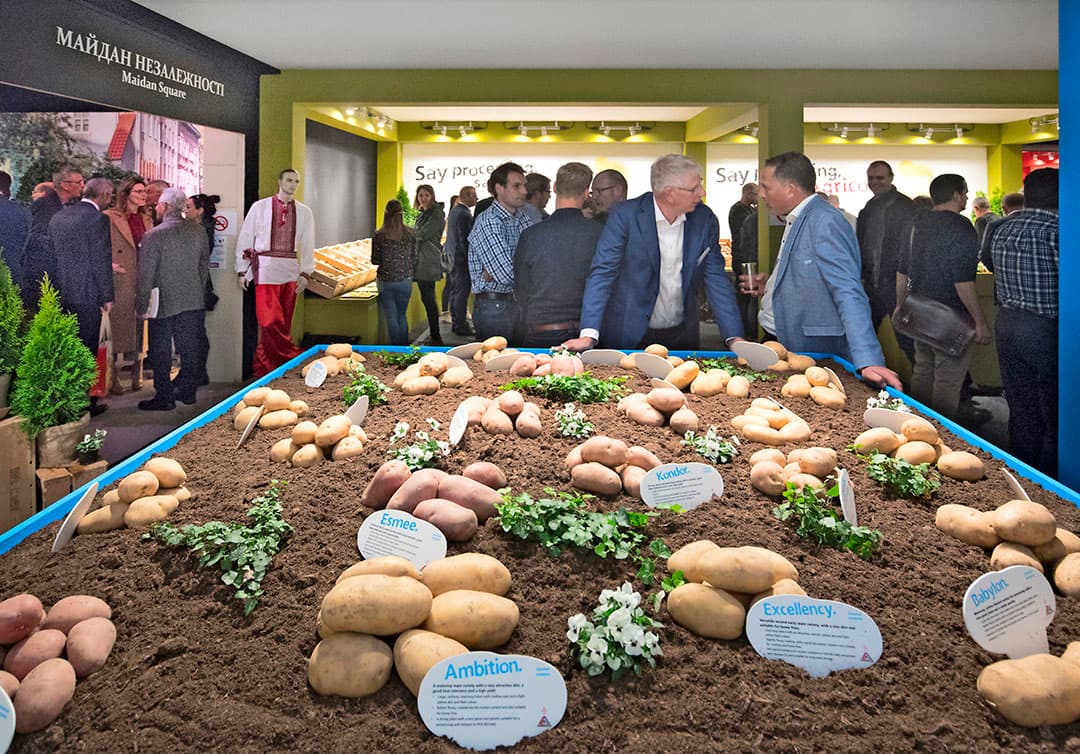 De pootgoedsector hield vóór de coronacrisis ieder jaar rassenshows voor binnen- en buitenlandse bezoekers. Nederlands pootgoed heeft een goede naam in de wereld. Fraude met uitgangsmateriaal is schadelijk voor het imago. - Foto: Ruud Ploeg