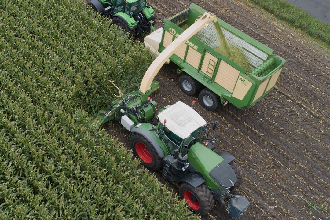Foto: Krone