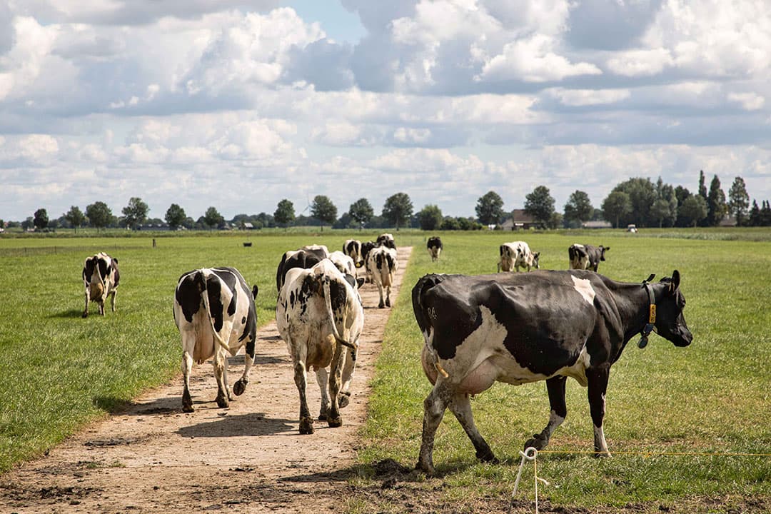 Foto: Herbert Wiggerman