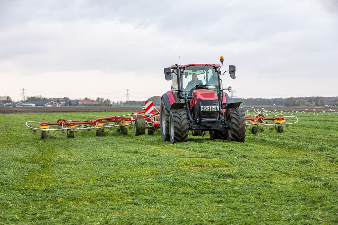 Foto: Koos van der Spek