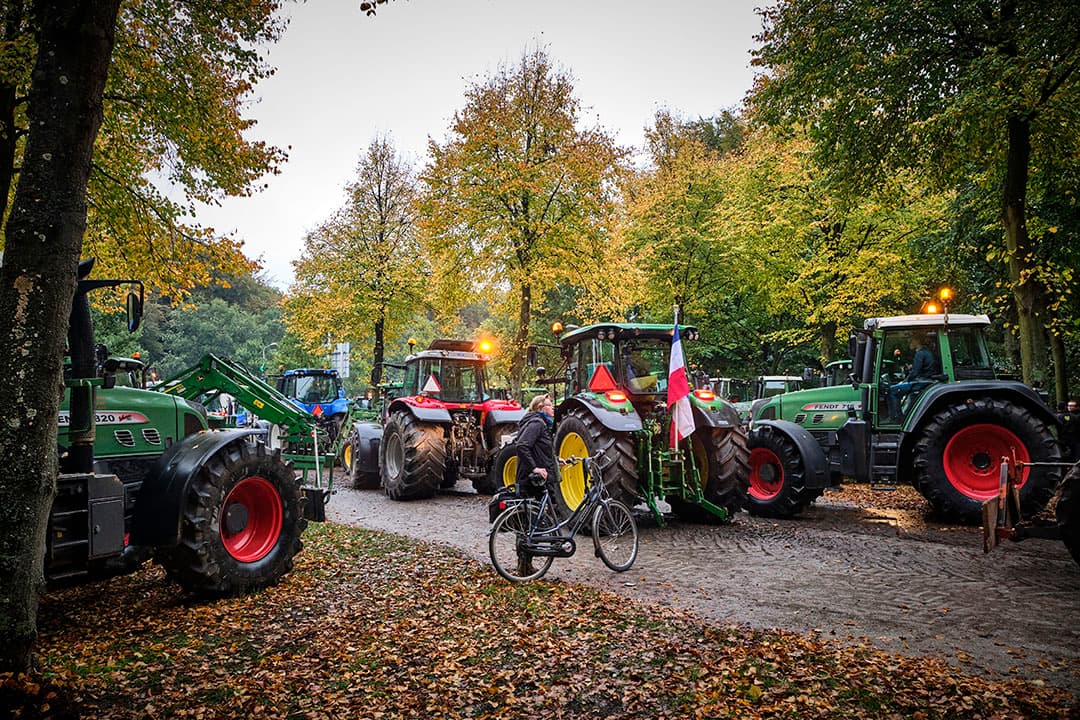 Foto: Roel Dijkstra