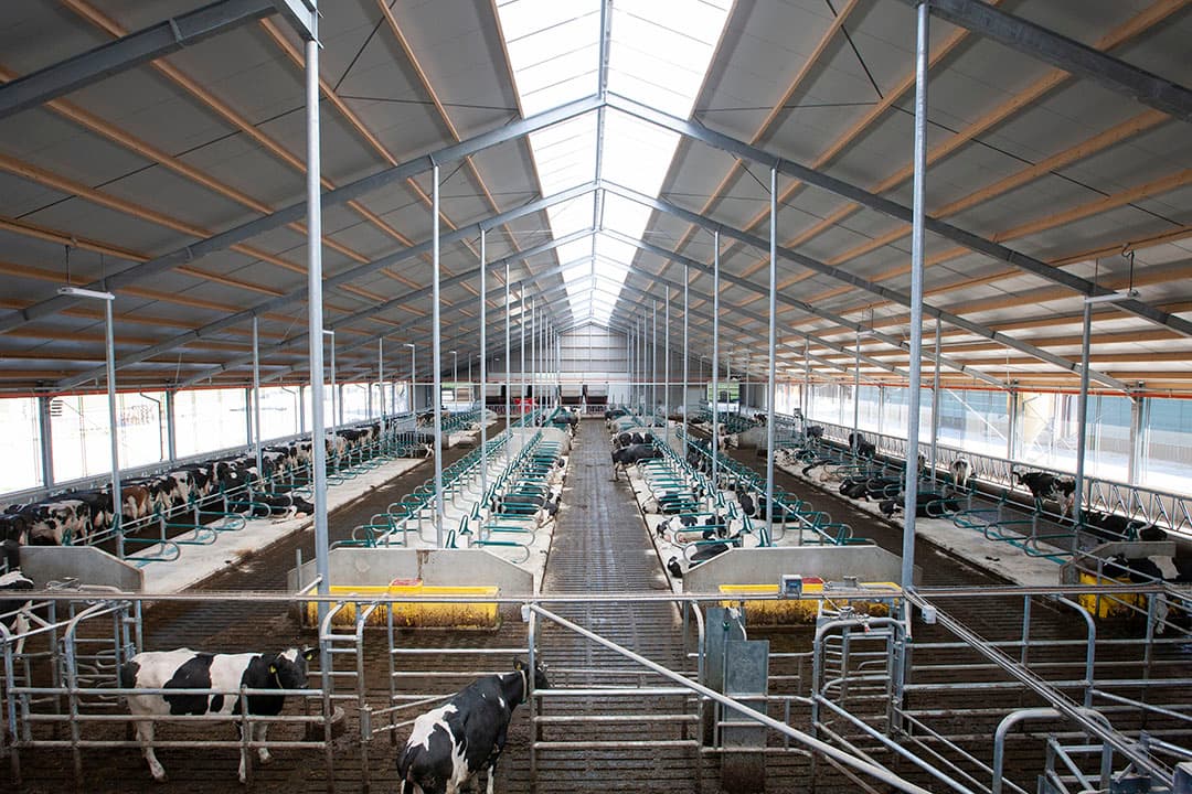 Op het gemiddelde bedrijf is nauwelijks ruimte voor aanvullende investeringen. Dat betekent dat investeringen gelijk rendement moeten opleveren, dus een positieve bijdrage leveren aan de kasstroom. - Foto: Hans Banus