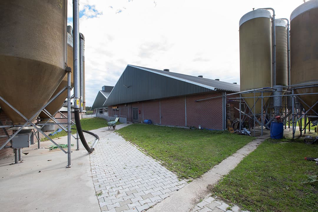 Foto: Hans Banus