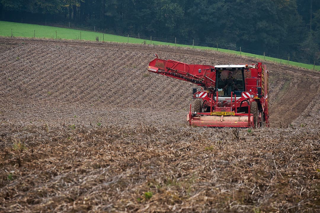 Onder de vlag van de maatschap ProCrop telen Souren en Merx op de Limburgse hellingen 70 hectare aardappelen voor drie afnemers. - Foto's: Twan Wiermans