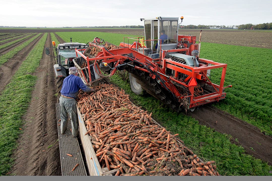 Foto: Henk Riswick
