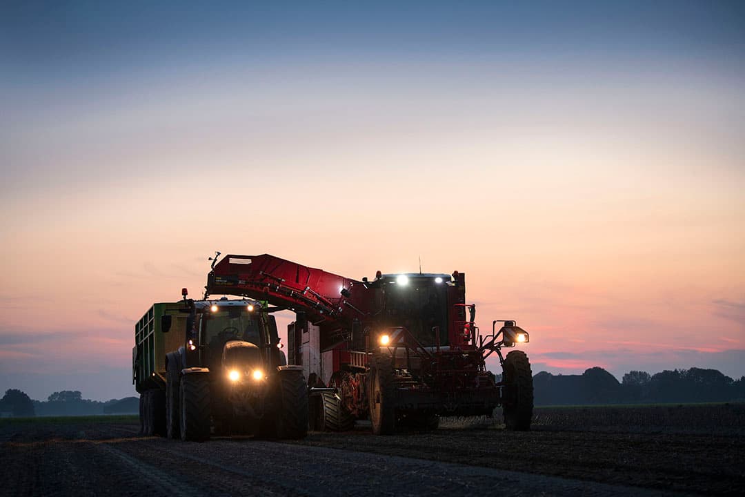 De oogst van aardappelen vorige maand in Oudebildtzijl (Fr.) - Foto: Mark Pasveer