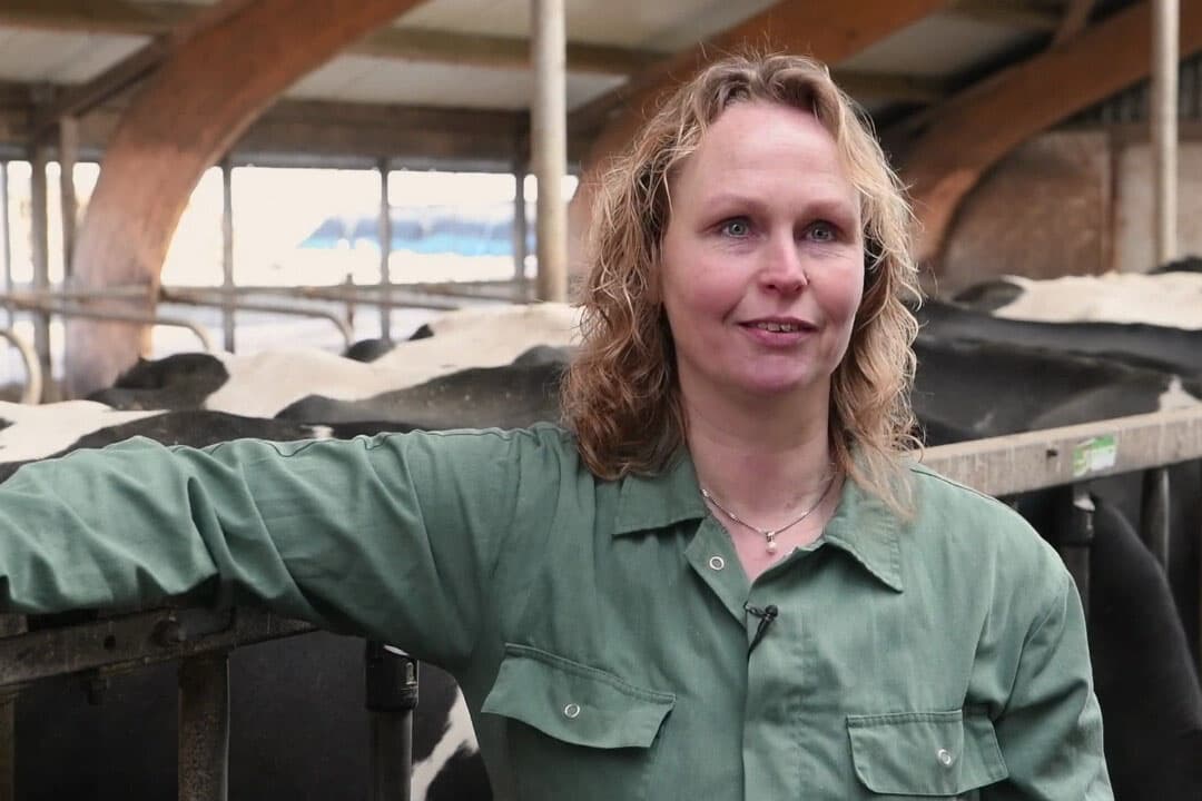 Melkveehouder Wytske Sijbrandij heeft met CowControl met name de droogstandsgroep veel beter in beeld. - Foto: Nedap