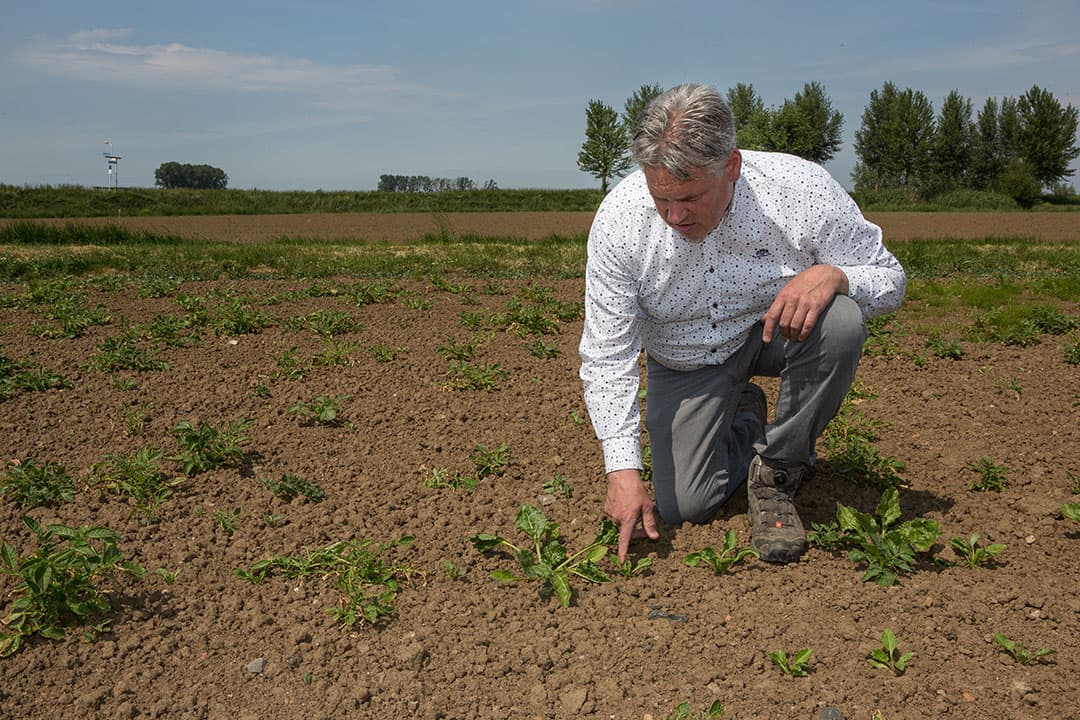 Foto: Peter Roek