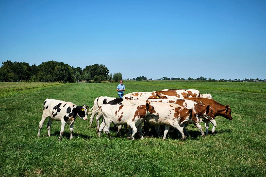 Foto: Roel Dijkstra