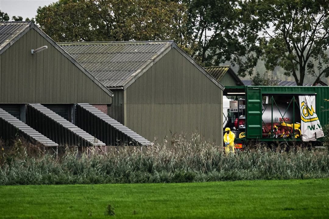 Het met AI besmette vermeerderingsbedrijf in Altforst. - Foto: ANP