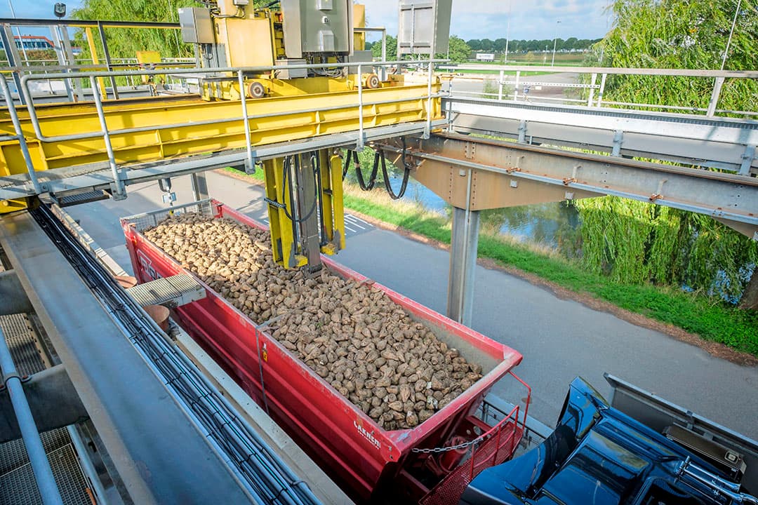 De monstername bij de fabriek leidt tot de wekelijkse kwaliteitscijfers van de bietenoogst.