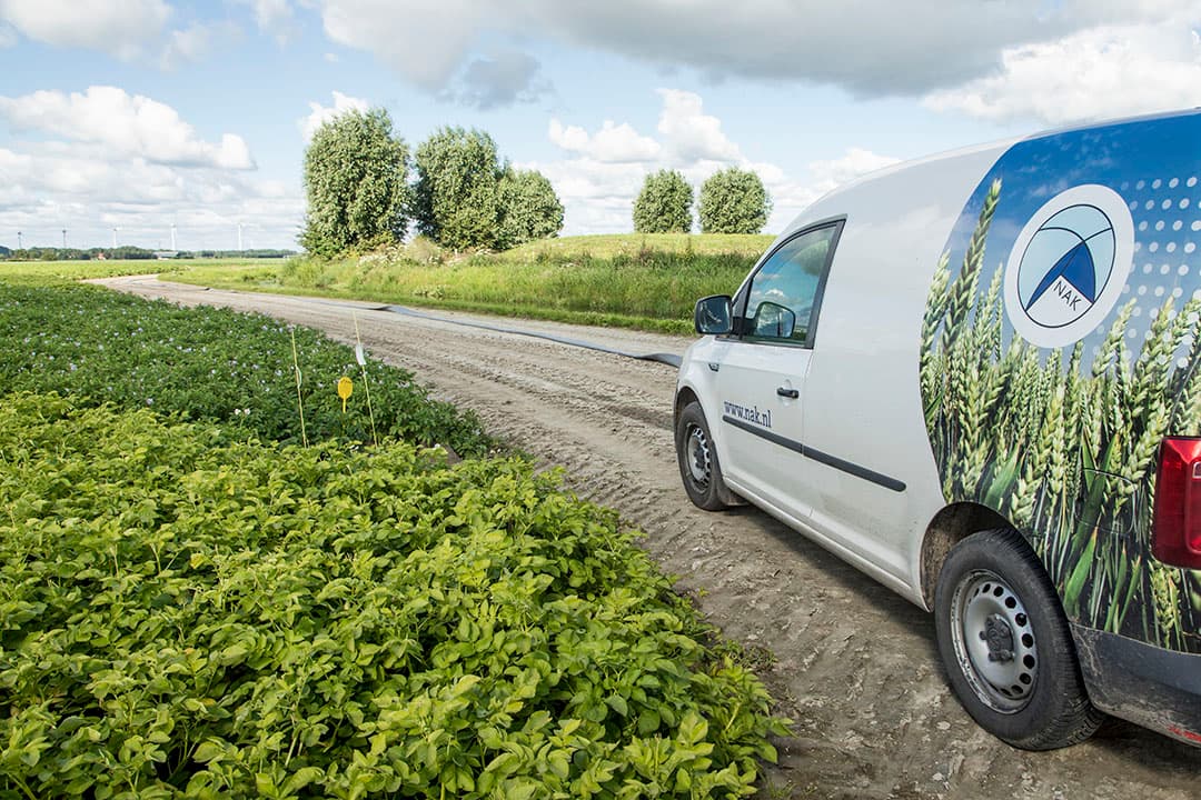 Controle pootaardappelen door keuringsdienst NAK. - Foto: Koos Groenewold
