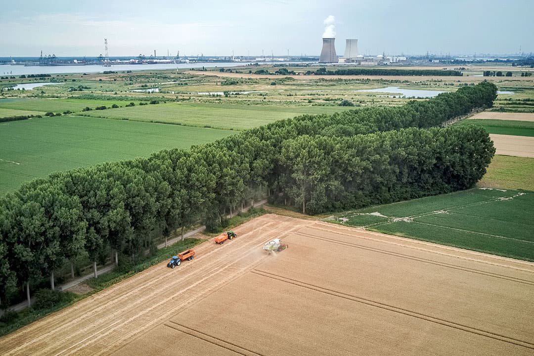 Foto: Peter Roek