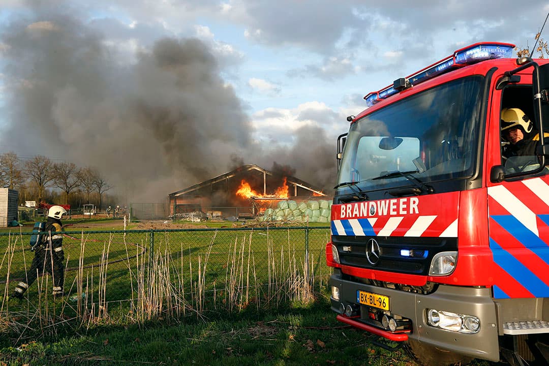 Foto: Bert Jansen
