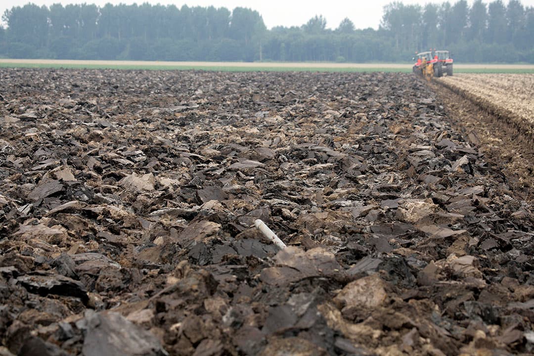 Foto: Henk Riswick