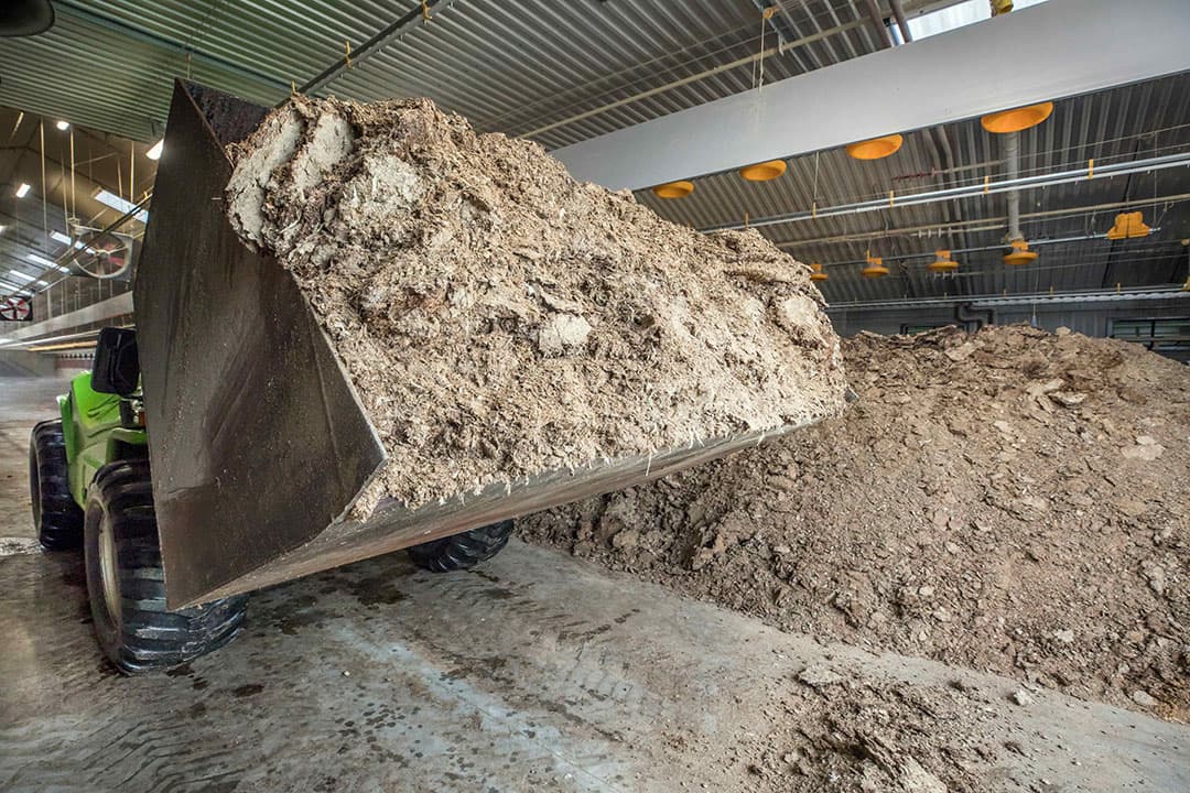 Foto: Koos Groenewold
