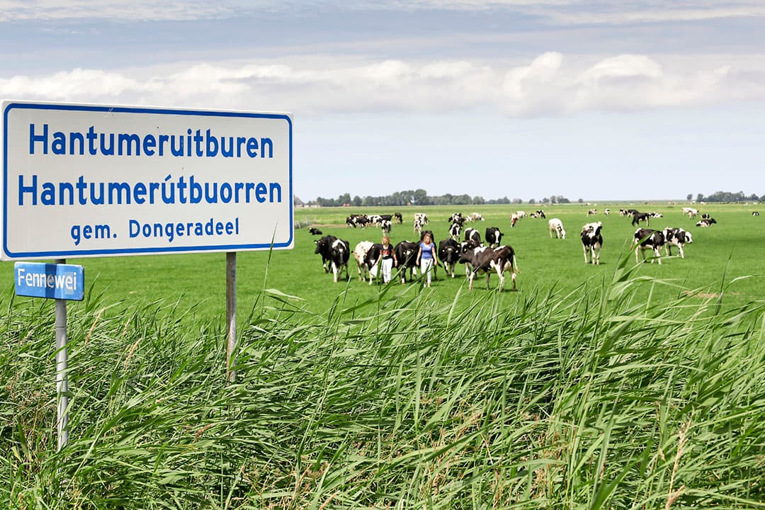 Foto: Jan Willem van Vliet