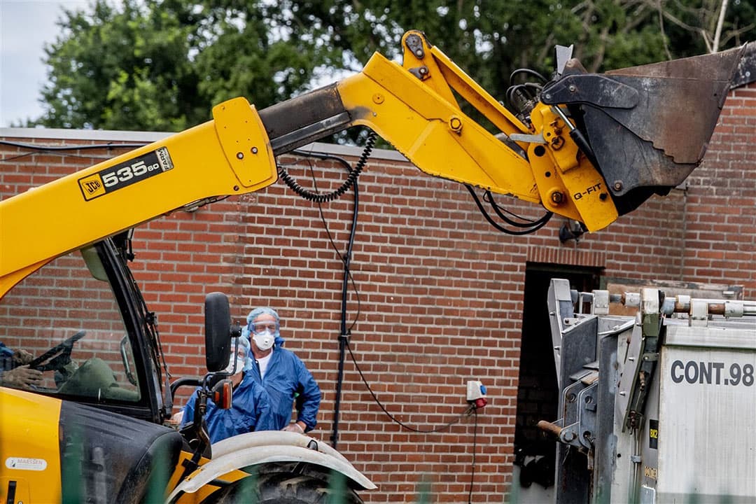 Ruiming van een nertsenbedrijf in juli van dit jaar in Ospel. In totaal zijn met de nieuwe besmettingen van vandaag 67 bedrijven besmet. - Foto: ANP