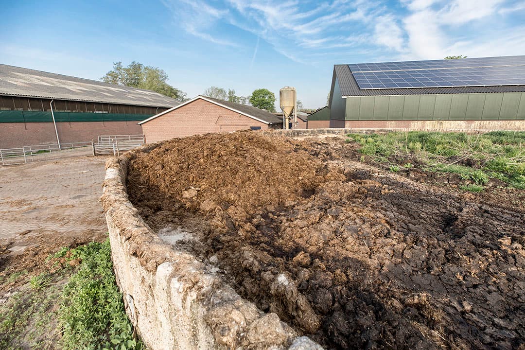 Foto: Koos Groenewold