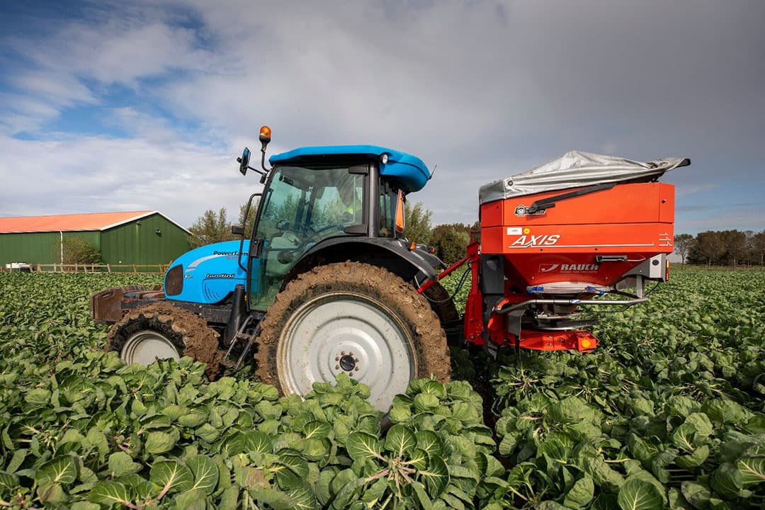 Foto: Roel Dijkstra