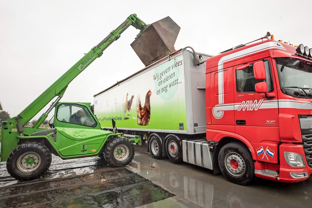 Foto: Koos Groenewold