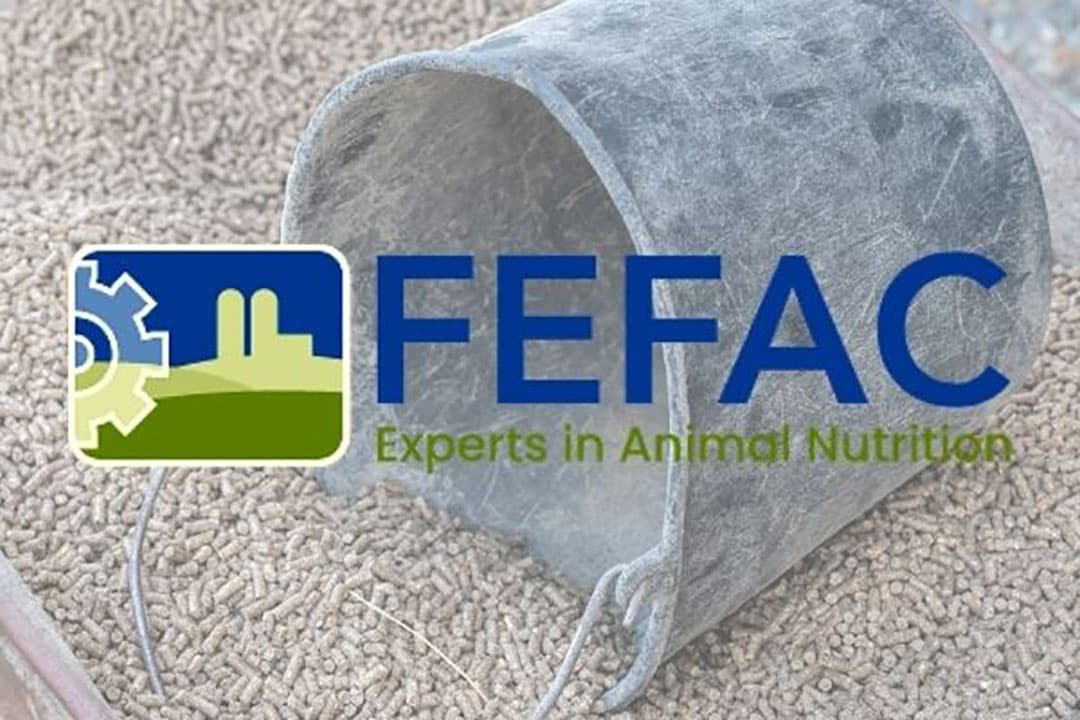 Foto en logo: Canva en Fefac