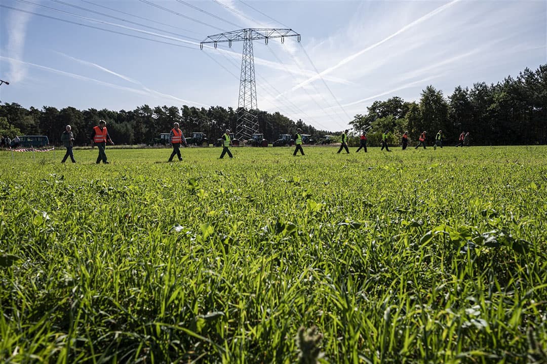Het zoeken naar zwijnenkarkassen in Schenkendöbern, Brandenburg. - Foto: DPA